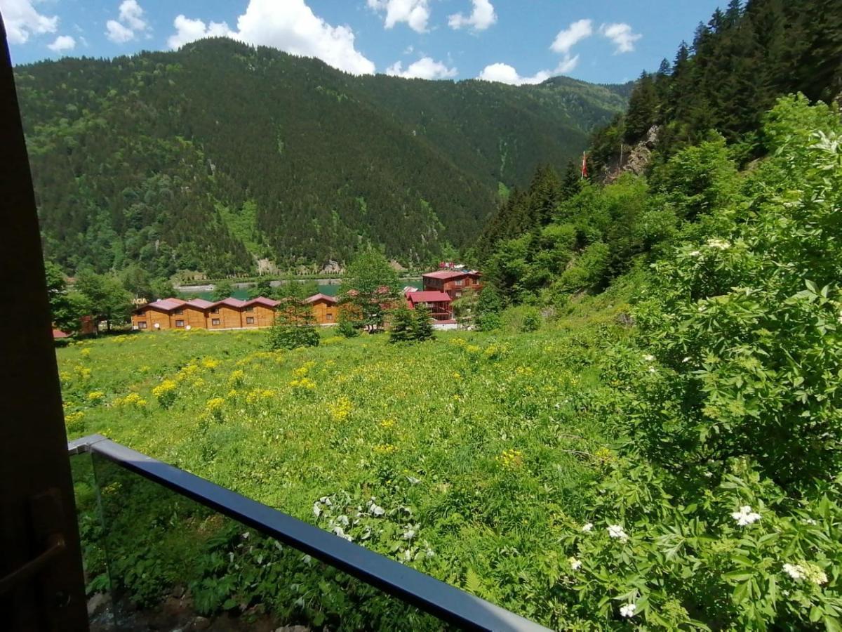 Faraksi Bungalow & Otel Uzungol Exterior photo