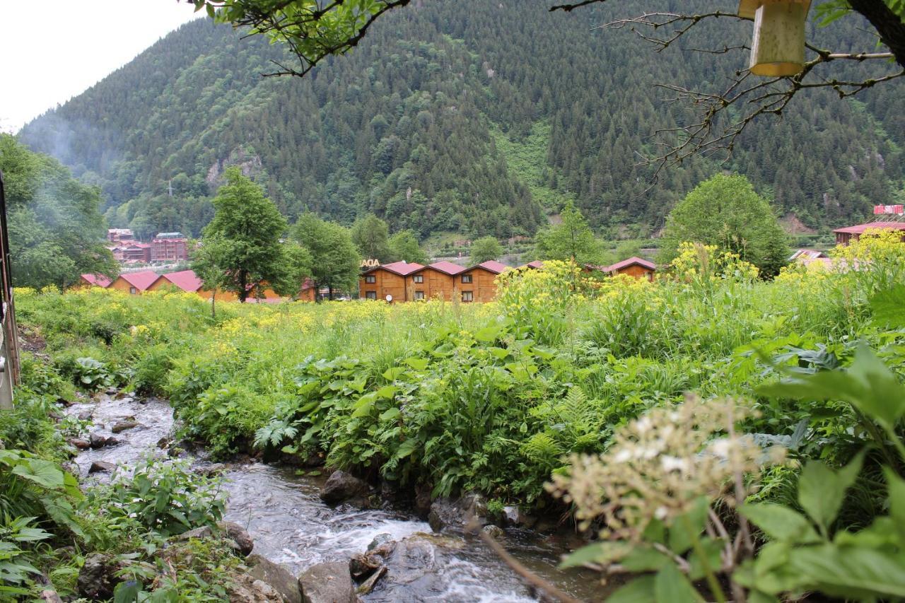 Faraksi Bungalow & Otel Uzungol Exterior photo