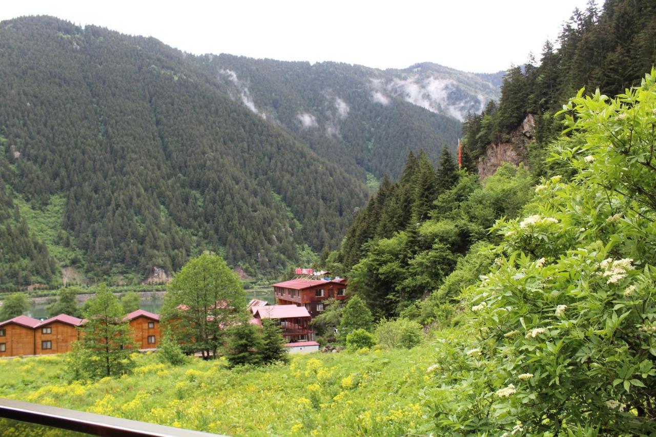 Faraksi Bungalow & Otel Uzungol Exterior photo