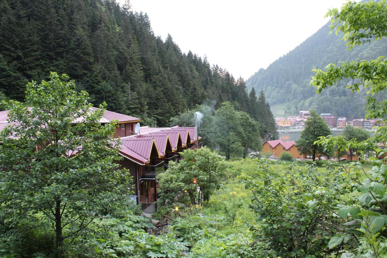 Faraksi Bungalow & Otel Uzungol Exterior photo