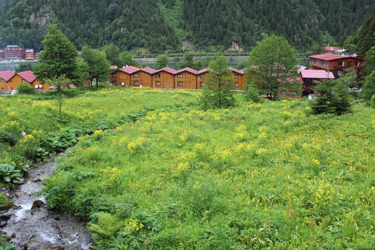 Faraksi Bungalow & Otel Uzungol Exterior photo