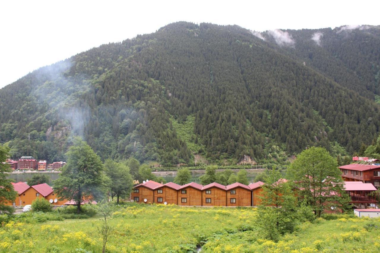 Faraksi Bungalow & Otel Uzungol Exterior photo