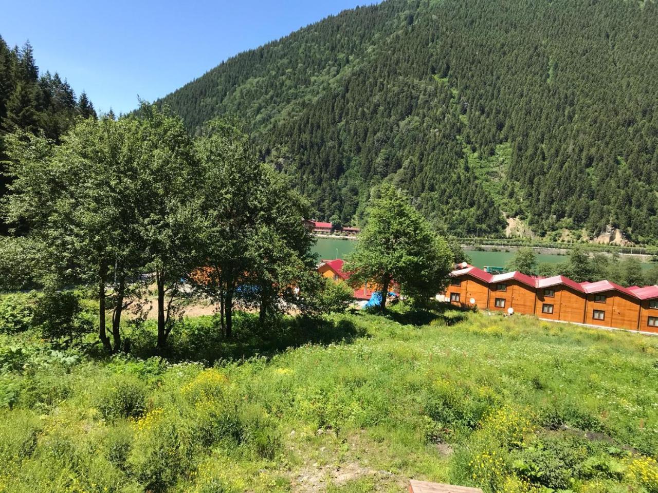 Faraksi Bungalow & Otel Uzungol Exterior photo