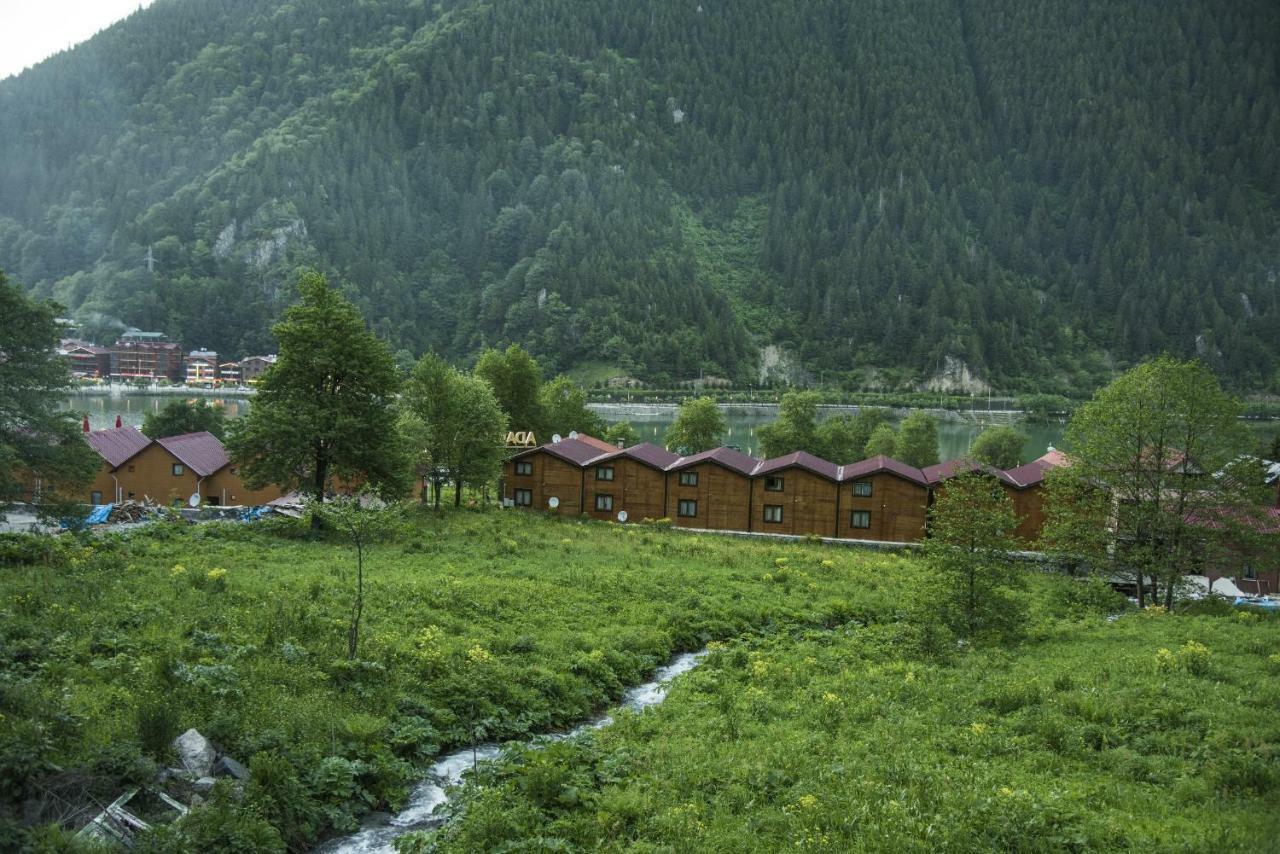 Faraksi Bungalow & Otel Uzungol Exterior photo